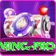 Pak Jackpot Game - Gaming Pro