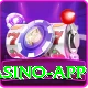 Rumi Slots Deluxe Casino App